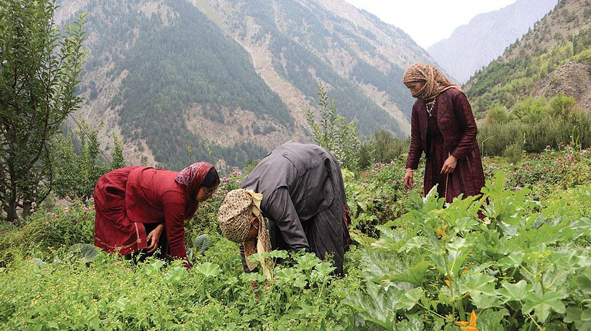 When Tradition Meets Science – Building Process-Driven Legacy