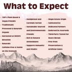 Shunya India Apple, Mint, and Timur Tisane(20 Tea Bags, 3 Gm Each) - Herbal Infusion  Tisane Natural Antioxidant, Support Immunity, Caffeine Free