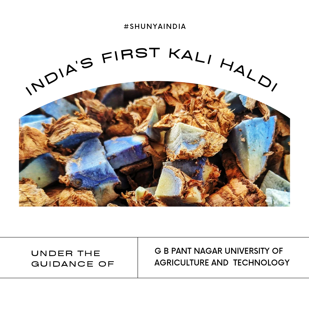 Kali Haldi (Black Turmeric) Latte (India's 1st Black Haldi Latte )